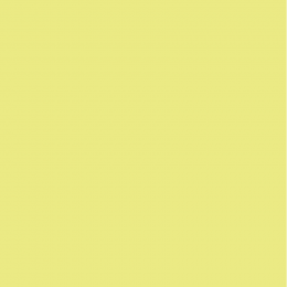 Краска Farrow & Ball цвет Yellowcake 279 Estate Emulsion 0,1 л