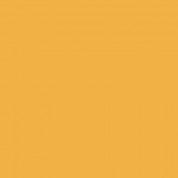 Краска Farrow & Ball Colour by Nature цвет Dutch Orange W76 Estate Emulsion 0,1 л в Воронеже
