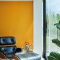 Краска Farrow & Ball Colour by Nature цвет Dutch Orange W76 Estate Emulsion 0,1 л в Воронеже