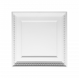 Лепнина Orac Luxxus PUROTOUCH® F31 Накладная панель 595x66x595мм